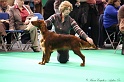 Crufts2011 113